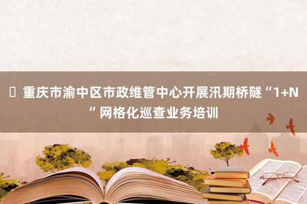 ‌重庆市渝中区市政维管中心开展汛期桥隧“1+N”网格化巡查业务培训