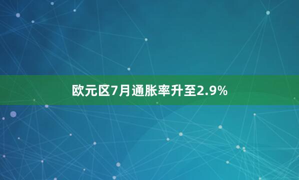 欧元区7月通胀率升至2.9%