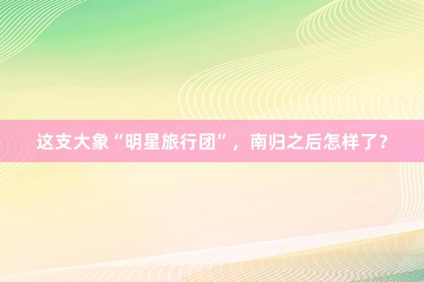 这支大象“明星旅行团”，南归之后怎样了？