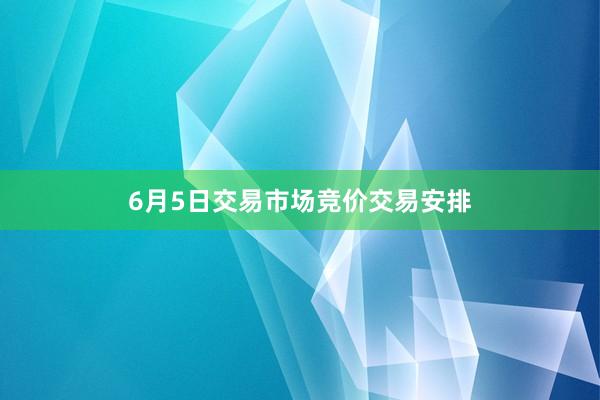 6月5日交易市场竞价交易安排