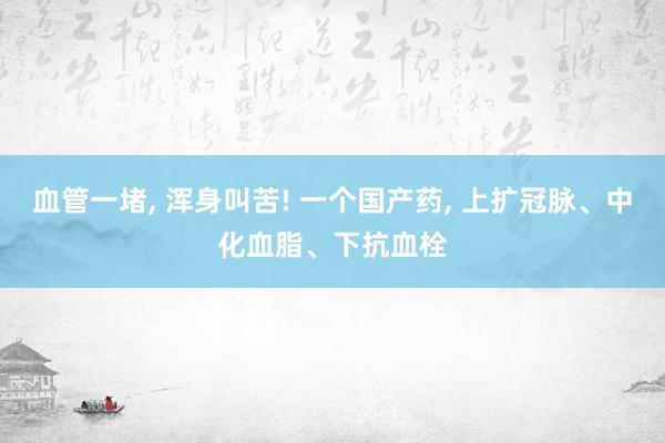 血管一堵, 浑身叫苦! 一个国产药, 上扩冠脉、中化血脂、下抗血栓