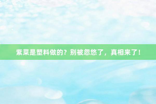 紫菜是塑料做的？别被忽悠了，真相来了！