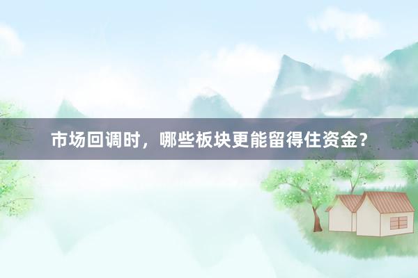 市场回调时，哪些板块更能留得住资金？