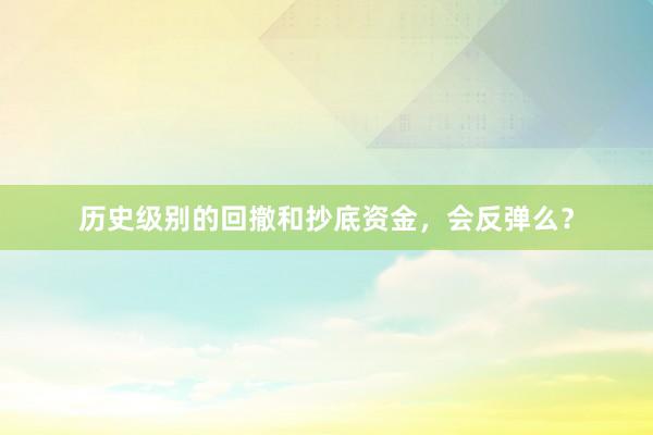历史级别的回撤和抄底资金，会反弹么？