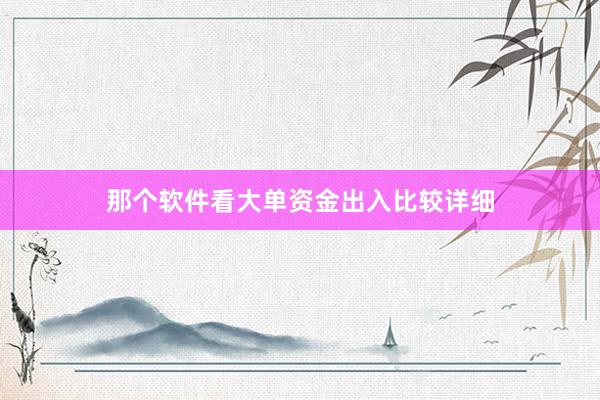 那个软件看大单资金出入比较详细