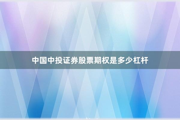 中国中投证券股票期权是多少杠杆