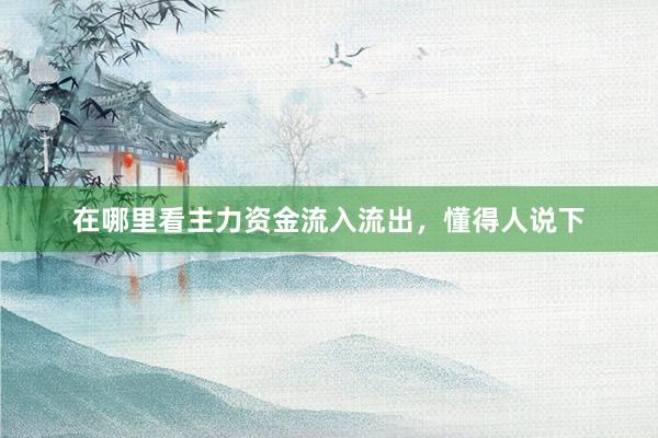 在哪里看主力资金流入流出，懂得人说下