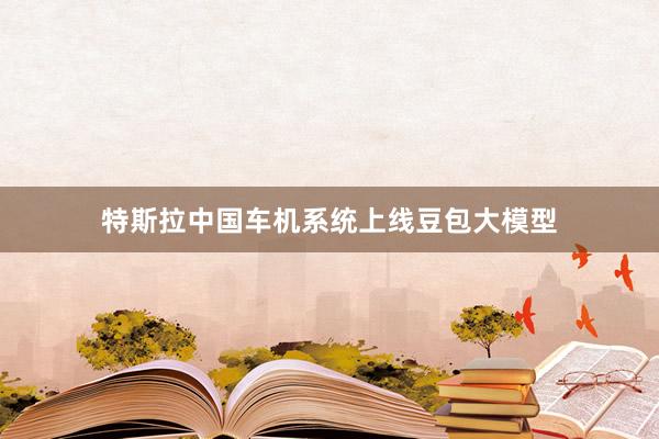 特斯拉中国车机系统上线豆包大模型