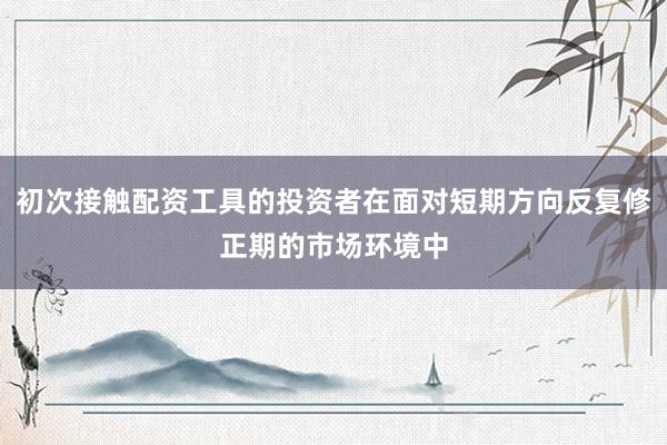 初次接触配资工具的投资者在面对短期方向反复修正期的市场环境中