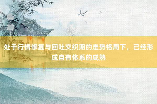 处于行情修复与回吐交织期的走势格局下，已经形成自有体系的成熟