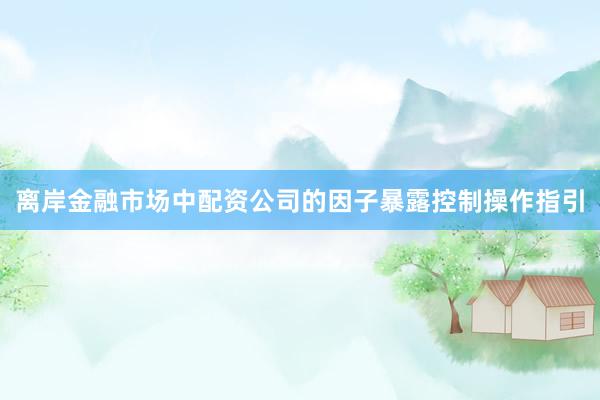 离岸金融市场中配资公司的因子暴露控制操作指引