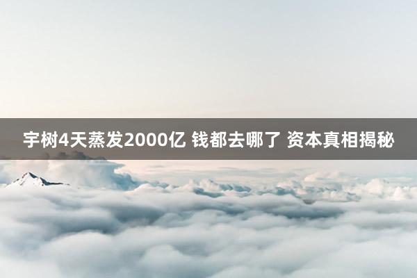 宇树4天蒸发2000亿 钱都去哪了 资本真相揭秘