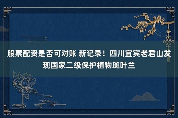 股票配资是否可对账 新记录！四川宜宾老君山发现国家二级保护植物斑叶兰
