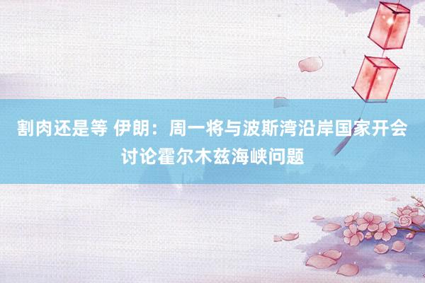 割肉还是等 伊朗：周一将与波斯湾沿岸国家开会讨论霍尔木兹海峡问题