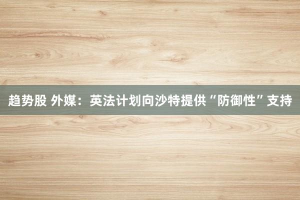 趋势股 外媒：英法计划向沙特提供“防御性”支持