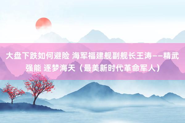 大盘下跌如何避险 海军福建舰副舰长王涛——精武强能 逐梦海天（最美新时代革命军人）