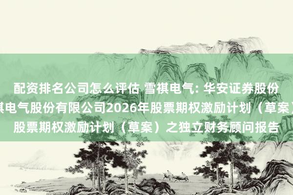 配资排名公司怎么评估 雪祺电气: 华安证券股份有限公司关于合肥雪祺电气股份有限公司2026年股票期权激励计划（草案）之独立财务顾问报告
