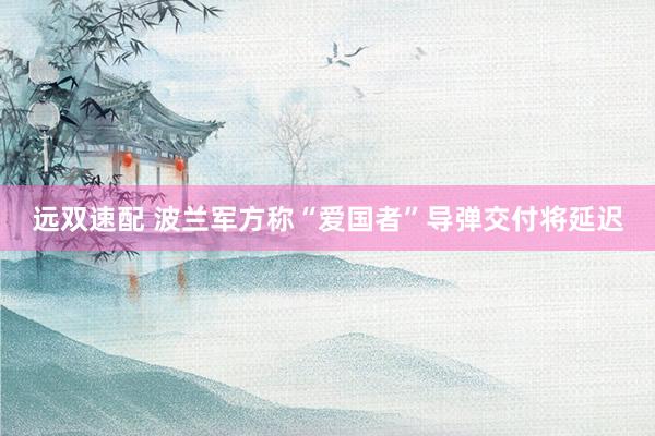 远双速配 波兰军方称“爱国者”导弹交付将延迟