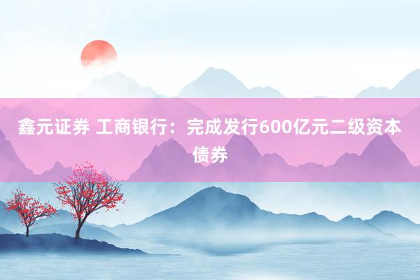 鑫元证券 工商银行：完成发行600亿元二级资本债券