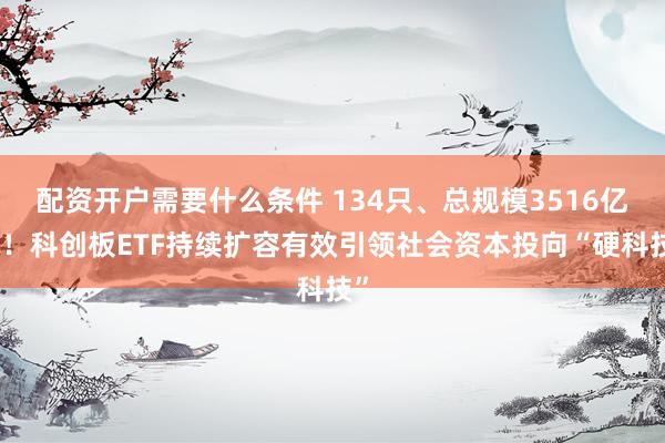 配资开户需要什么条件 134只、总规模3516亿元！科创板ETF持续扩容有效引领社会资本投向“硬科技”