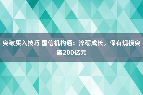突破买入技巧 国信机构通：淬砺成长，保有规模突破200亿元